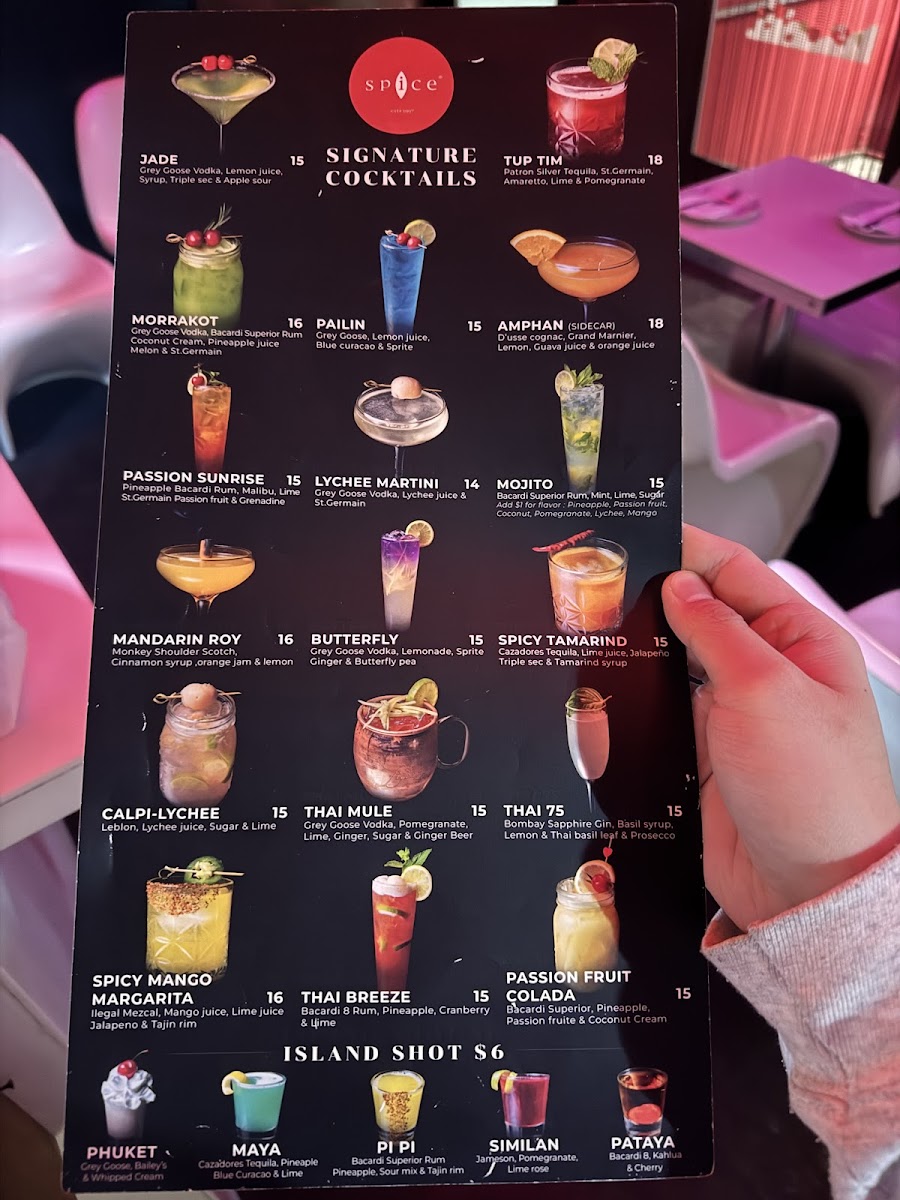 Spice Thai Menu - Image 3